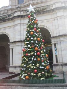 Xms tree at theState Parliament