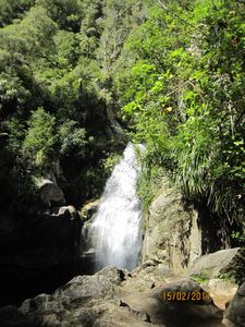 Walk at Wainui Falls (15)