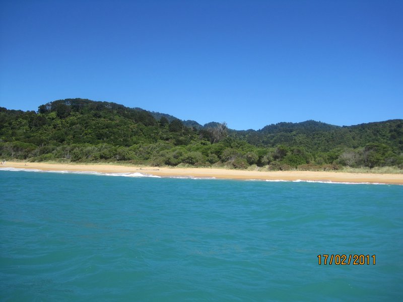 Abel Tasman boat trip (14)