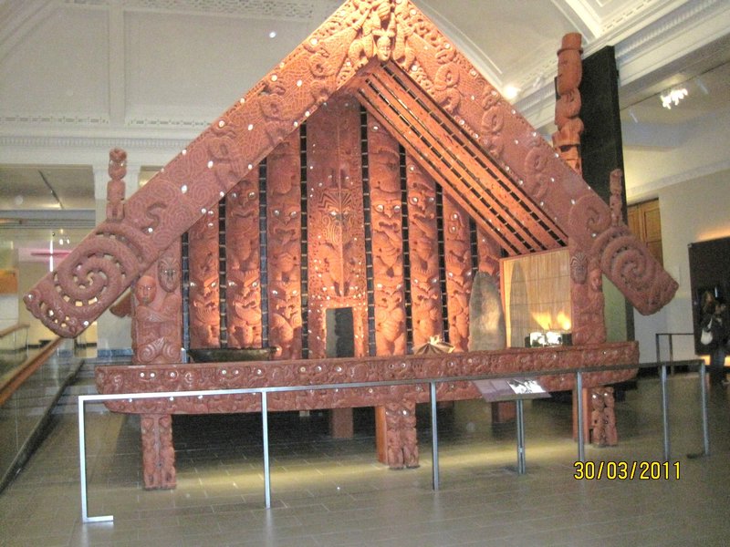 Auckland and Museum (5)