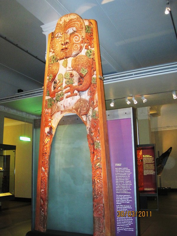 Auckland and Museum (10)