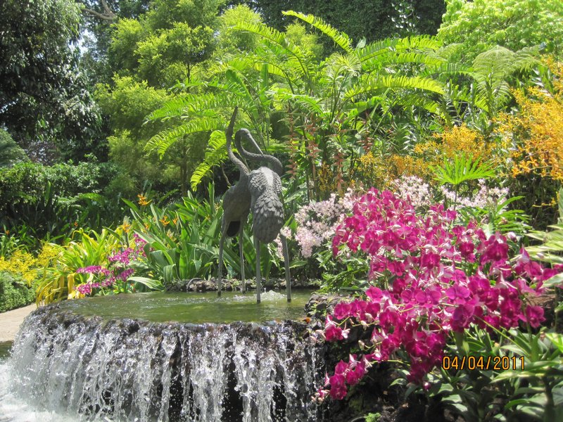 Singapore and Orchids (9)