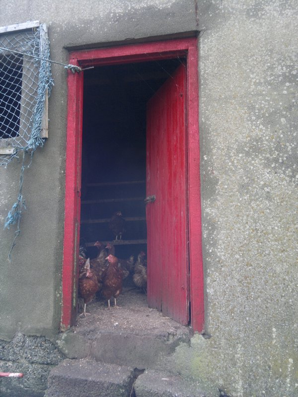 The hen house!!
