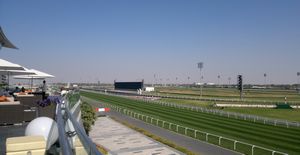 Meydan Nad Al Sheba Races (2)