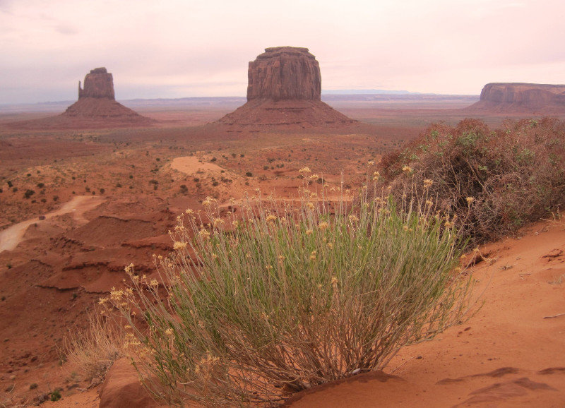 Navajo Tour (13)