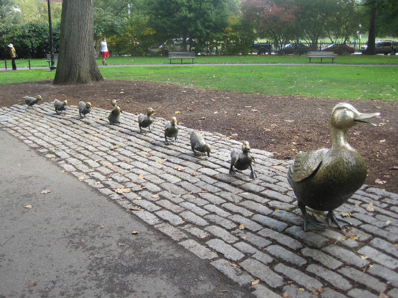 Boston Common (10)