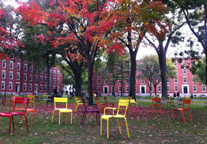 Harvard Yard Day 3 (15)