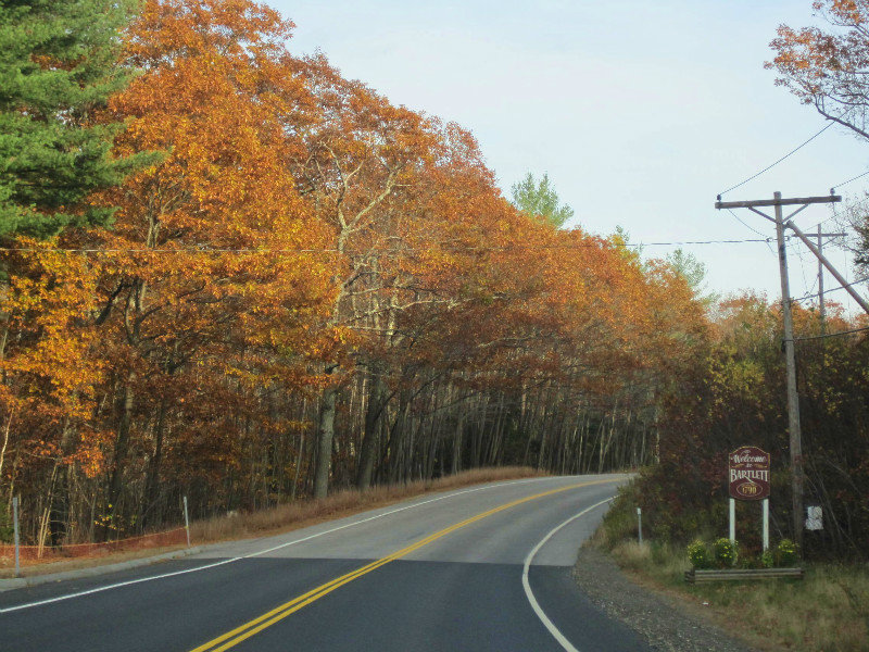 Hwy 302 and Bear Notch Road (3)