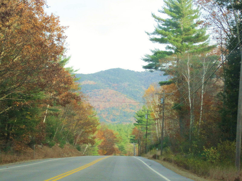 Hwy 302 and Bear Notch Road (5)