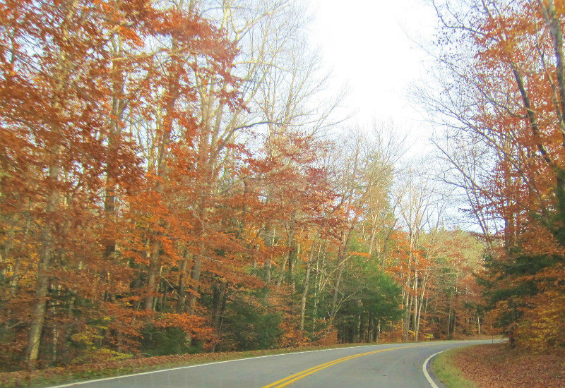 Hwy 302 and Bear Notch Road (9)
