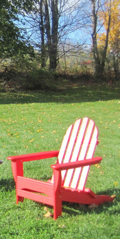 A study of Adirondack Chairs