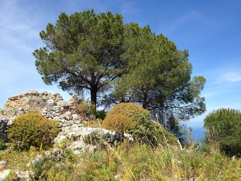 Cefalu La Rocca Climb