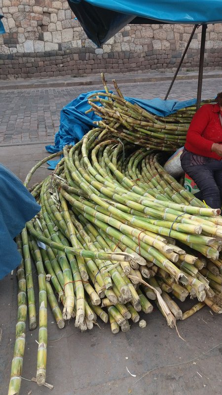 Bundle of sugar cane at the main market
