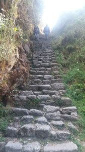 Porters charging down steps
