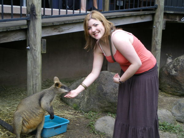 and a Wallaby!
