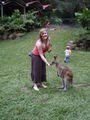 Feeding a Kangeroo!