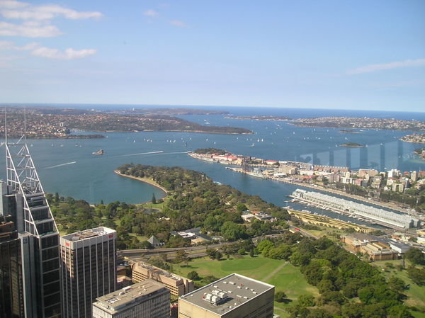 Sydney Harbour from above