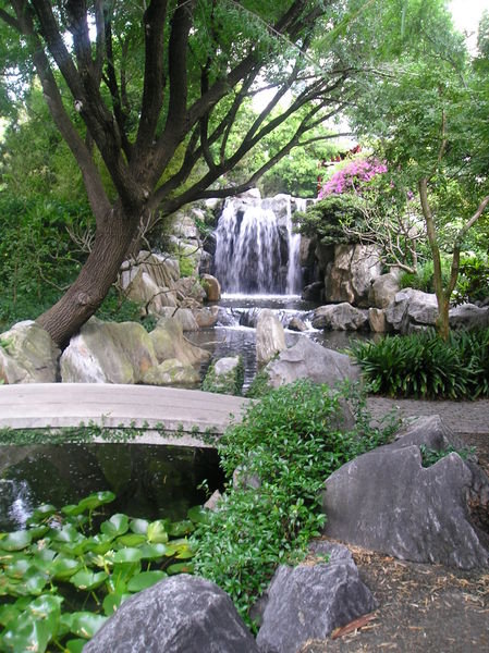 Waterfall at chinese gardens