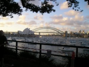 The boats line up in Sydney Harbour for the best spot!
