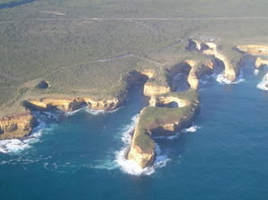 Muttonbird Island from above!