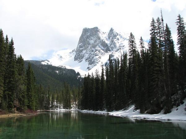 See im Banff National Park