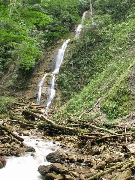 Dschungel/Jungle - Wasserfall/Waterfall