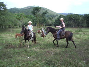 Honduran cowboys