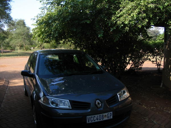 Our trusty Megane