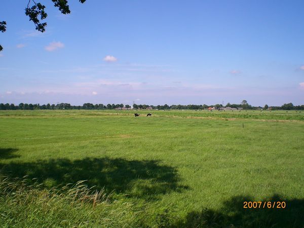 typical farmland: Drenthe