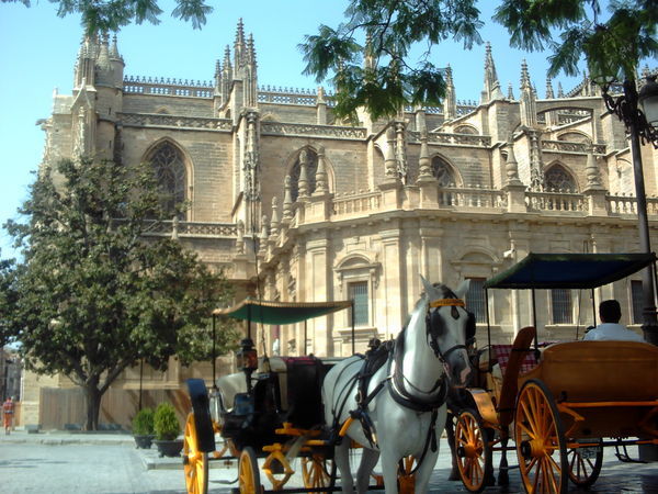Seville's big church