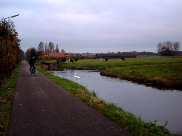 near Utrecht