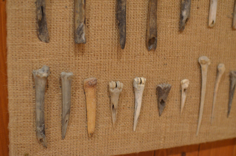 Museum examples of processed bone