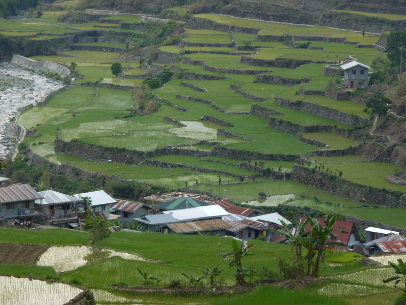 Week 3 Banaue - Sagada (61)