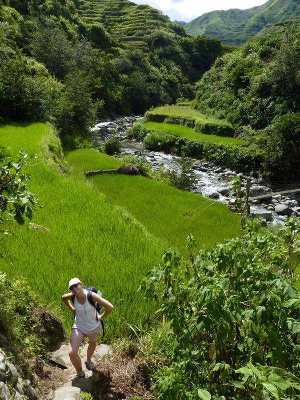 Trek dans les rizières - Campulo, Batad, Banaue (69)