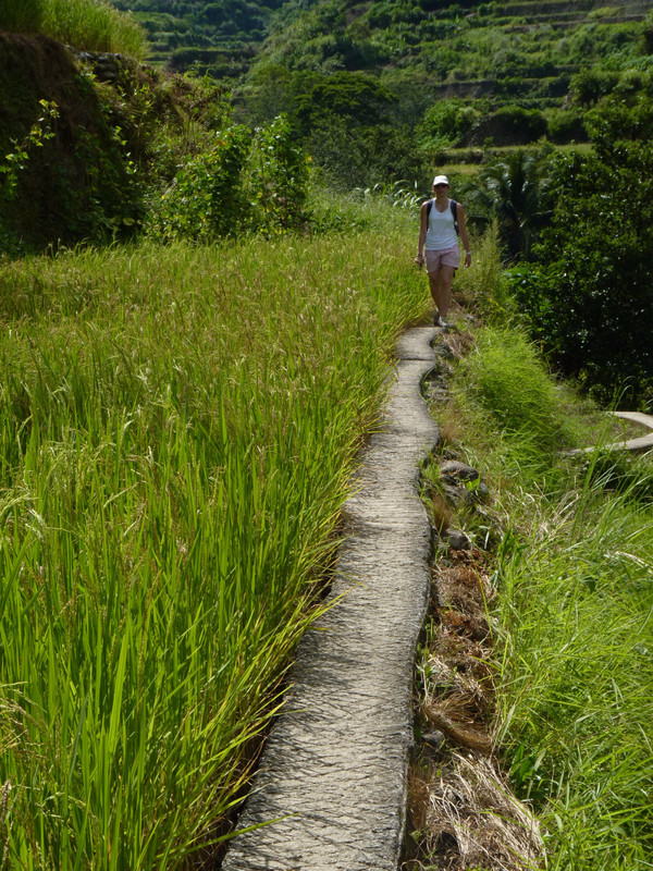Trek dans les rizières - Campulo, Batad, Banaue (72)