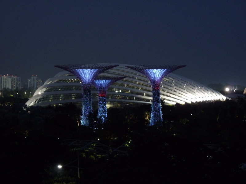 Gardens by the bay (1)