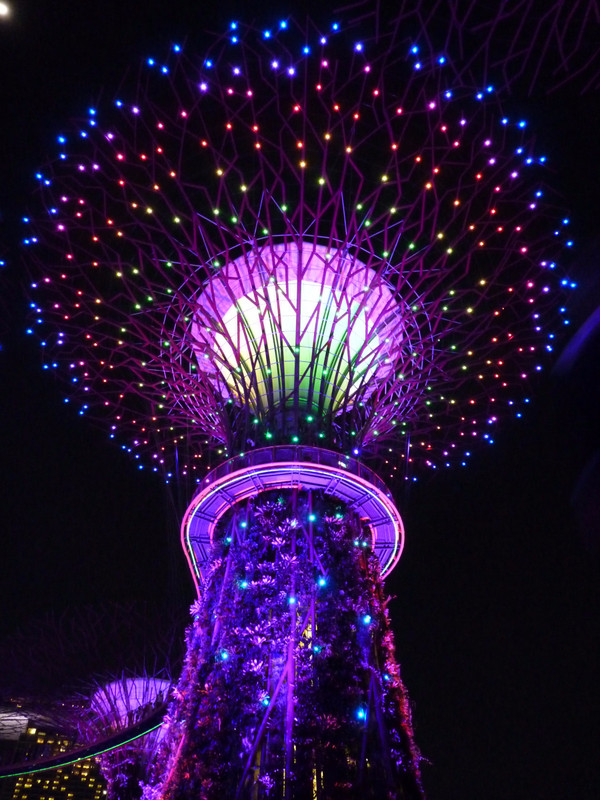 Gardens by the bay (3)