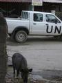 The ubiquitous UN