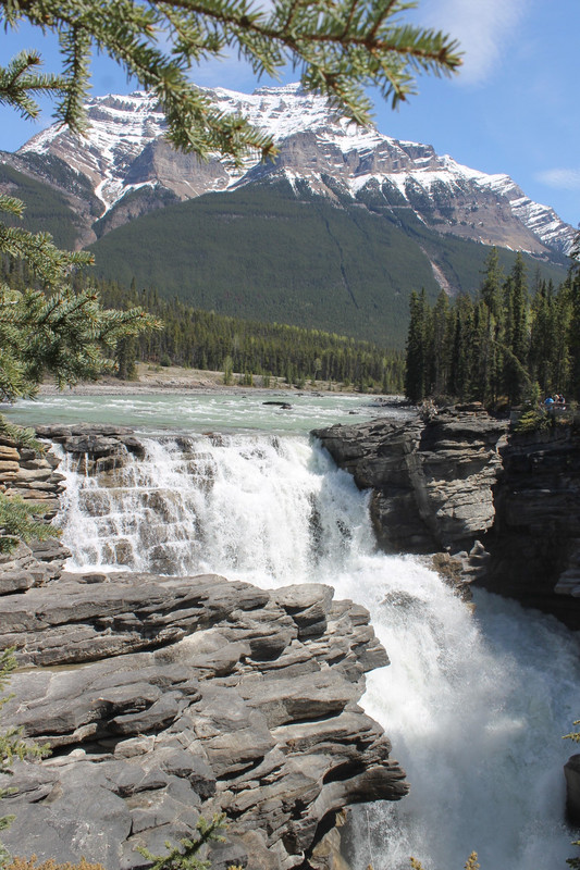 Athabasca Falls off Icefields Parkway