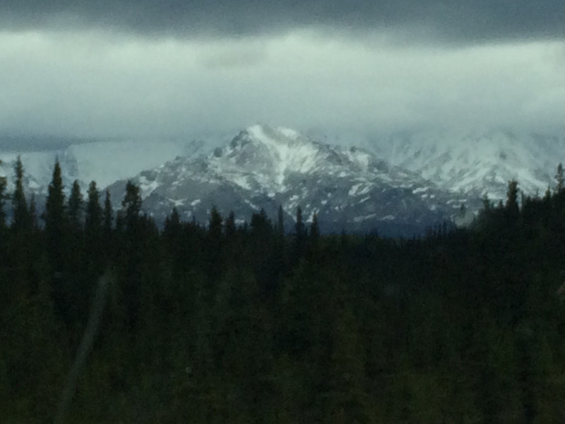 Alaskan Mountain Range  on way to Fairbanks 