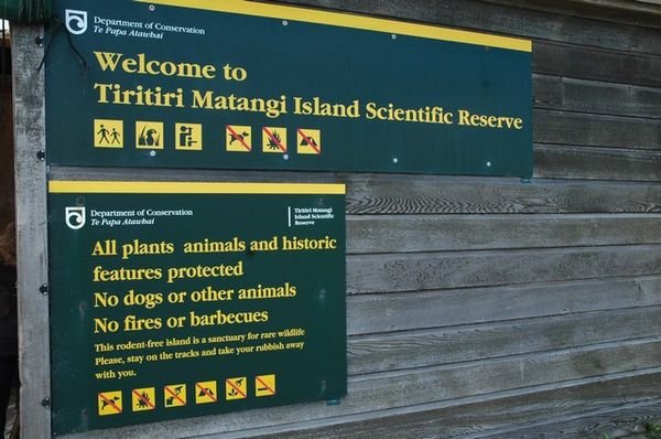Tiritiri Matangi Island 003