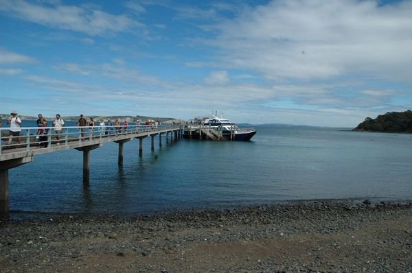 Tiritiri Matangi Island 004