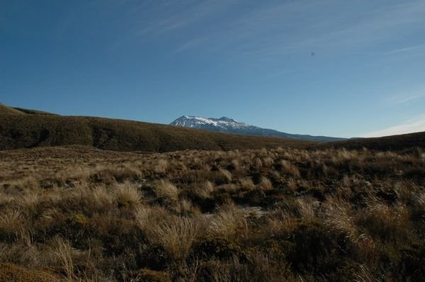 Tongariro National Park 010