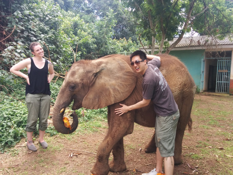 petting the elephant 2