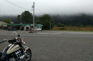 Mist in the trees at my breakfast stop in Oregon