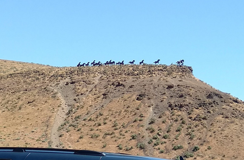 The actual monument, a herd of wild horse statues atop a plateau