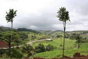 Gruenes Costa Rica