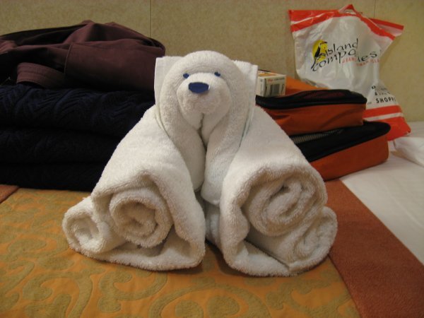 Towel bear... 