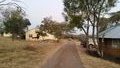 Driveway to my Maasai accomodation