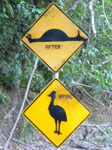 Watch out for Cassowaries